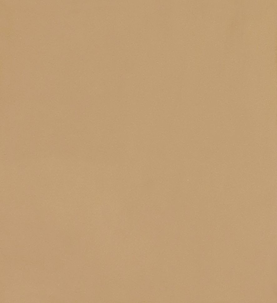 CY 31